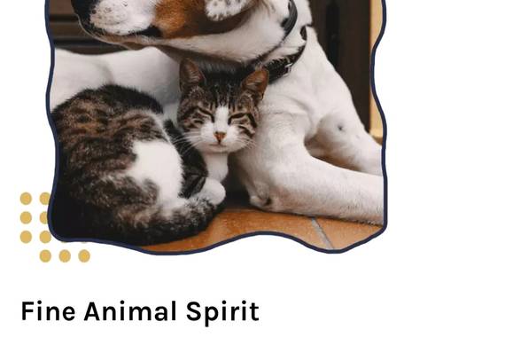 Fine-animal-spirit.de Tierkommunikation und mehr